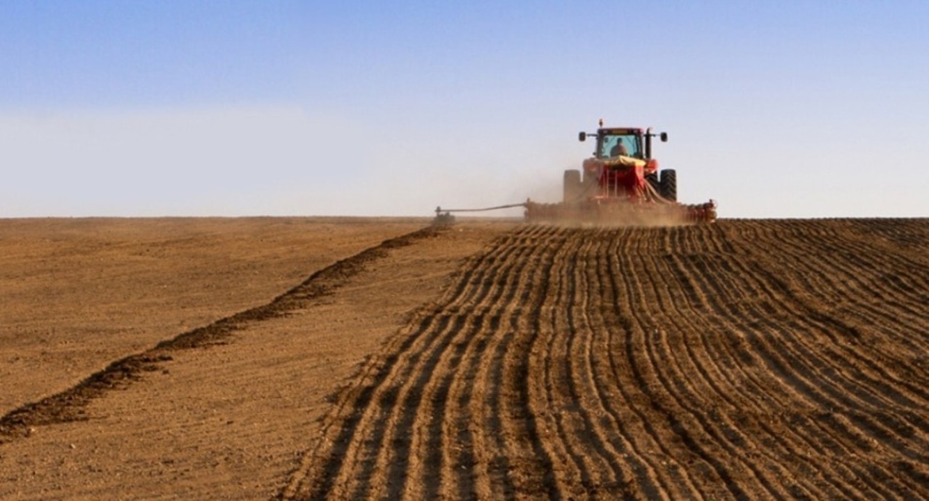 Home Merchants and Planters Bank